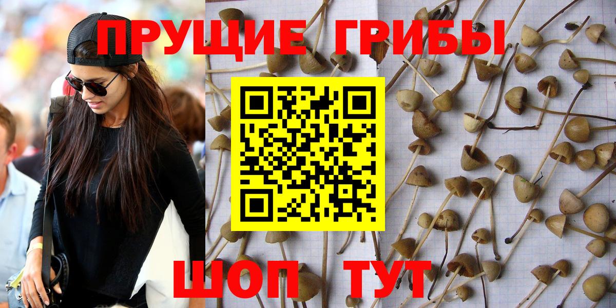 Псилоцибиновые грибы MAGIC MUSHROOMS  наркотики  Вход с VPN  Кинель  Галлюциногенные грибы Cubensis 